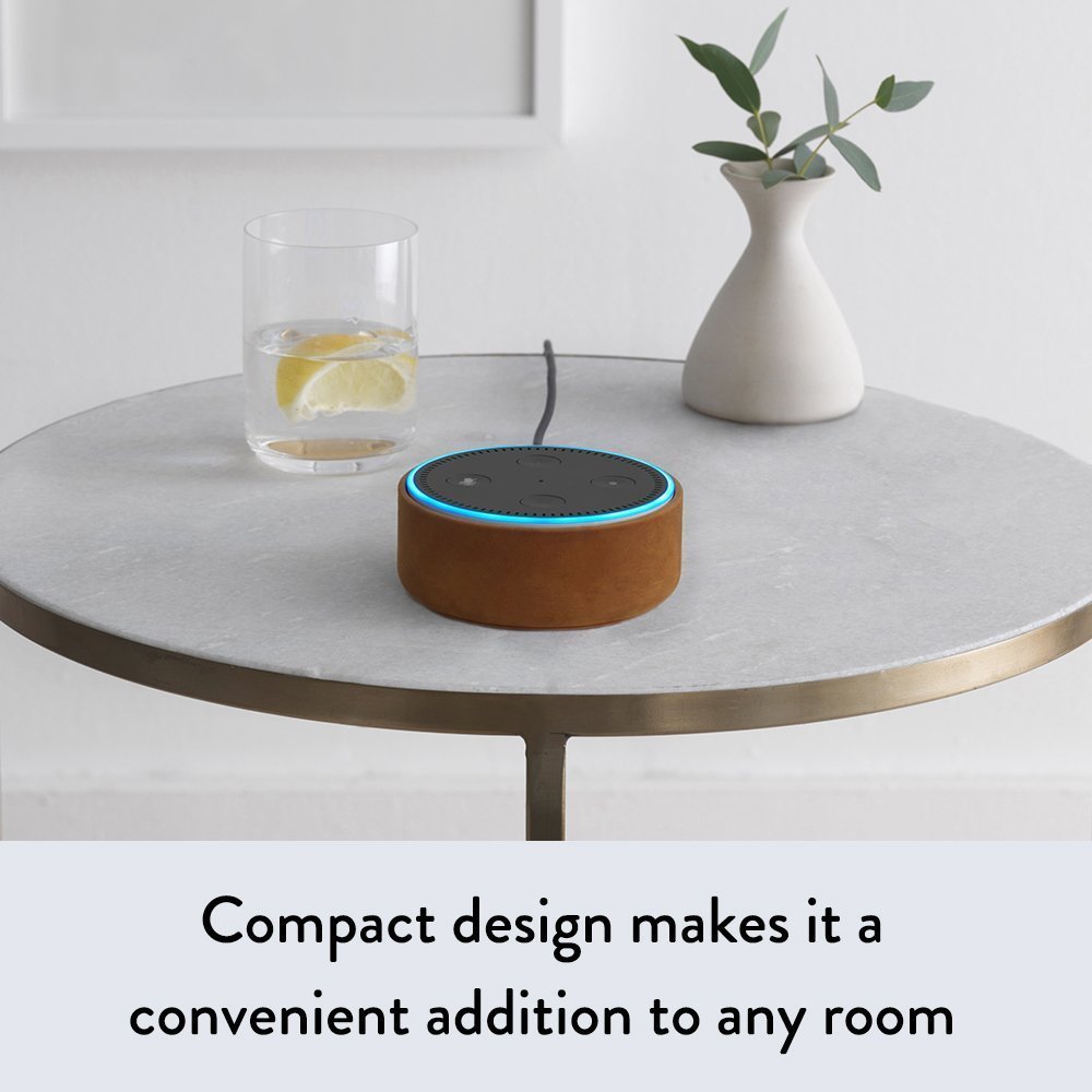 Echo dot