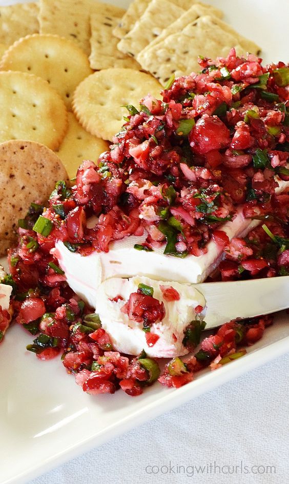 cranberry salsa